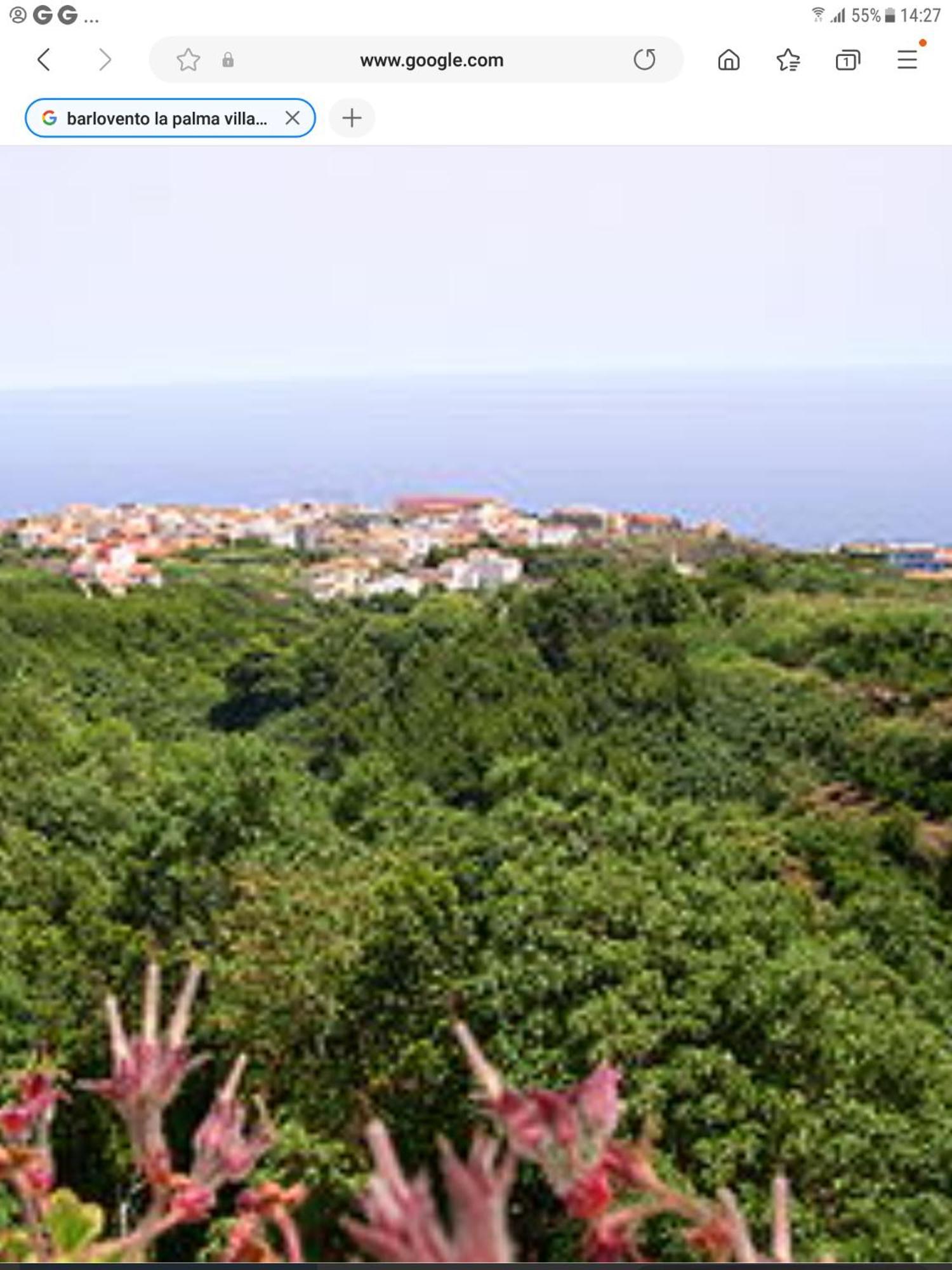 Appartamento Terraza Del Atlantico 1 + 2 Barlovento Esterno foto